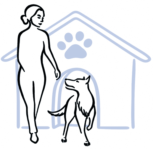 ForPet dla schronisk